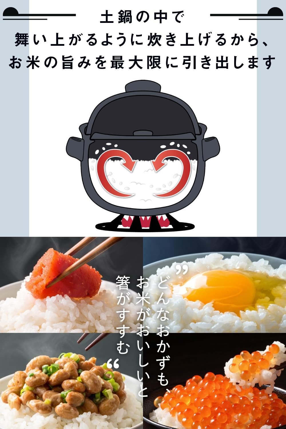 Iwano Donabe Rice Cooker 5Cup Banko Ware Fluffy Rice Japan