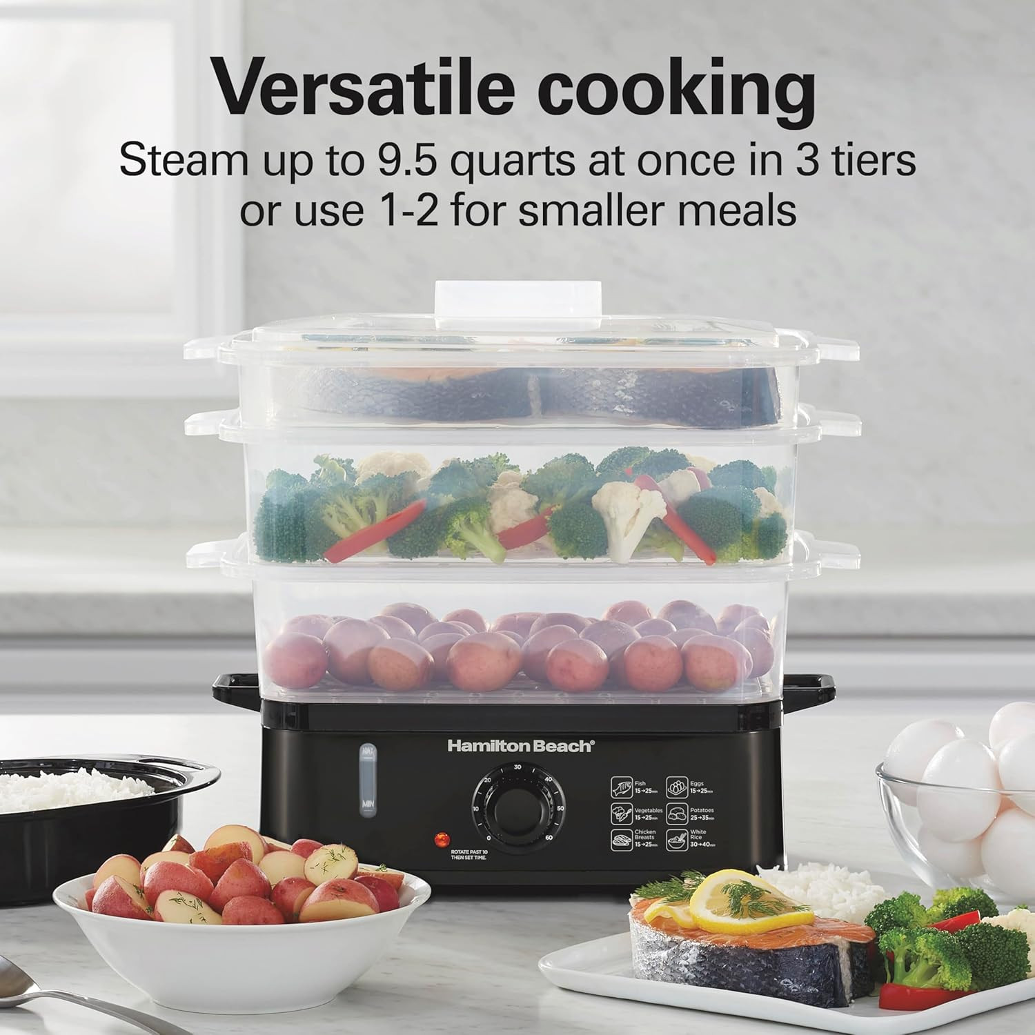 Electric Food Steamer, Rice Cooker & Egg Boiler for Quick, Fast Healthy Cooking