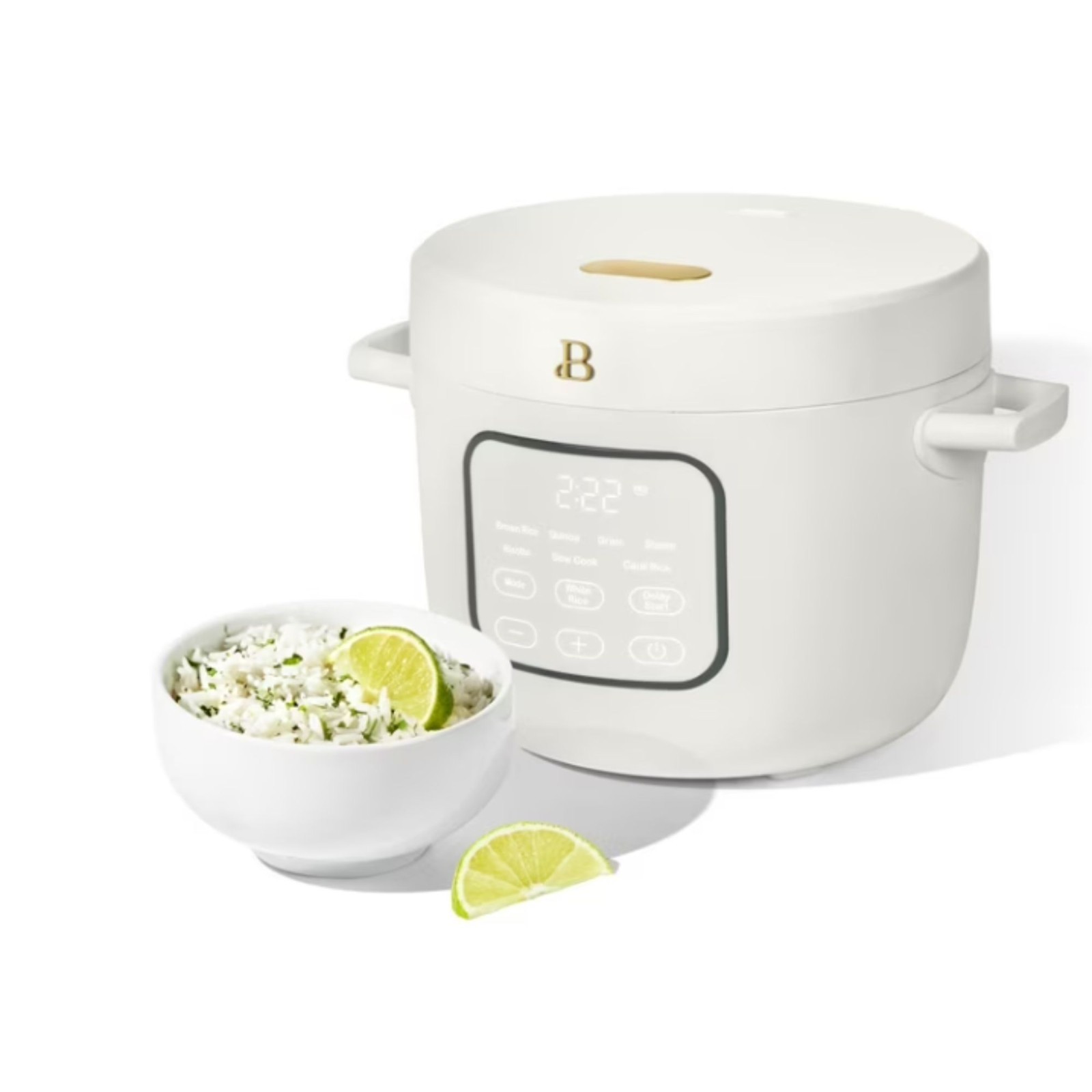 Beautiful 14-Cup Cooked, 6-Cups Uncooked Electric Rice and Grain Cooker