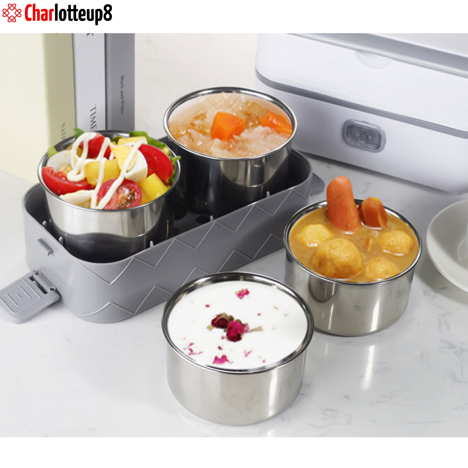 Portable 2 Layer Lunch Box Electric Food Warmer Rice Cooker Stainless Steel 110V