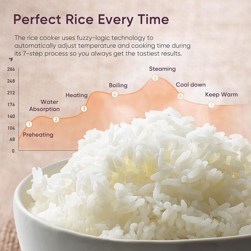Fuzzy Logic Electric Rice Cooker 10 Cups Quick Cook Automatic Keep Warm New