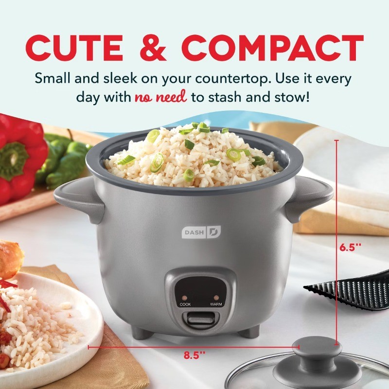 2-Cup Electric Mini Rice Cooker, Graphite: Small, Auto Keep Warm