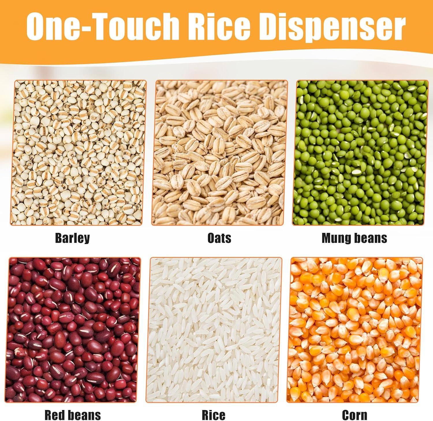 6 Grids Rice & Grain Storage Container 22.05 Pounds Rice Dispenser Food Dispense